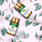 Beauty Aromatherapy Essential Oil Prime Mart