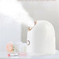 Beauty Steamer Prime Mart