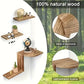 Rustic Wooden Wall Mounted Corner Shelf Set TM